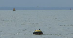 Felixstowe Waverider- Buoy 2021