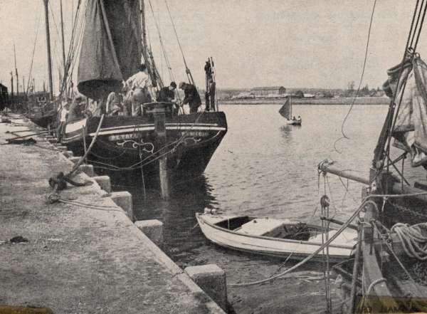 
Sailing barge PETREL at Maldon. Courtesy Mersea Museum 