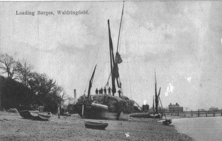 “Rachel & Julia loading straw April 5th 1900 (from back of card)