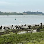 Jetty at Kyson Point by Eamonn O'Byrne 2023