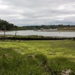 The remains of SB Dover Castle on July 28th 2023 at LW looking down river