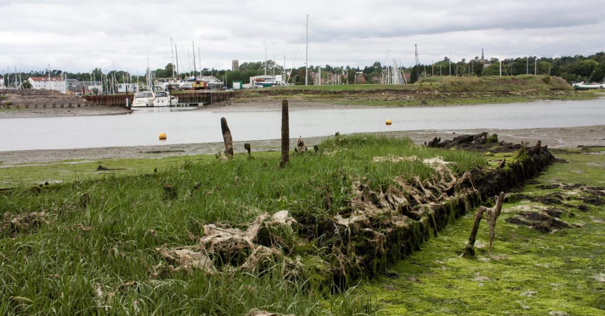 The remains of SB Dover Castle on July 28th 2023 at LW looking towards the Tide Mill Yacht Harbour