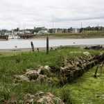 The remains of SB Dover Castle on July 28th 2023 at LW looking towards the Tide Mill Yacht Harbour