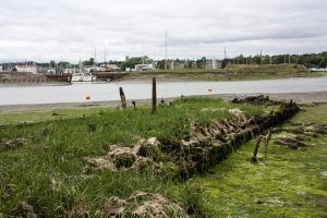 The remains of SB Dover Castle on July 28th 2023 at LW looking towards the Tide Mill Yacht Harbour