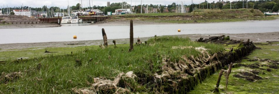 The remains of SB Dover Castle on July 28th 2023 at LW looking towards the Tide Mill Yacht Harbour